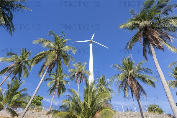 Wind turbine surrounded by palm trees