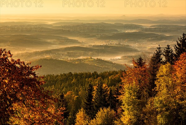 Forest in autumn with morning mist in the valley