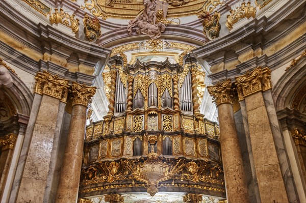 Organ