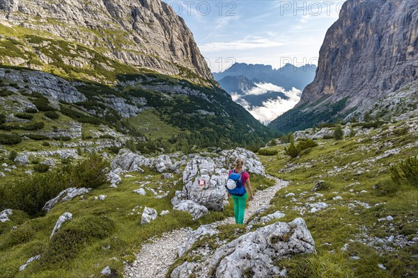 Young hiker on a hiking trail