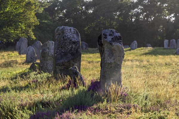 Stone row of Kerlesecan