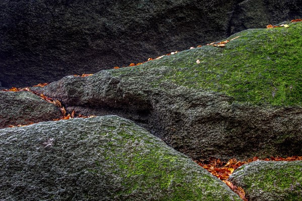 Sea of rocks