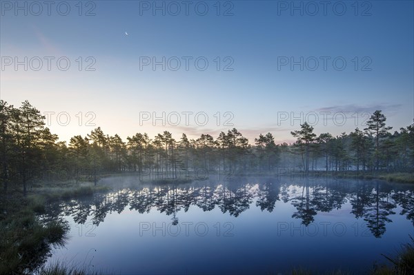 Moor landscape with lake at daybreak
