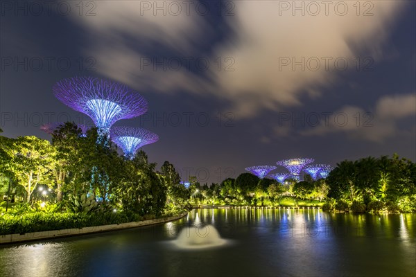 Supertrees at dusk