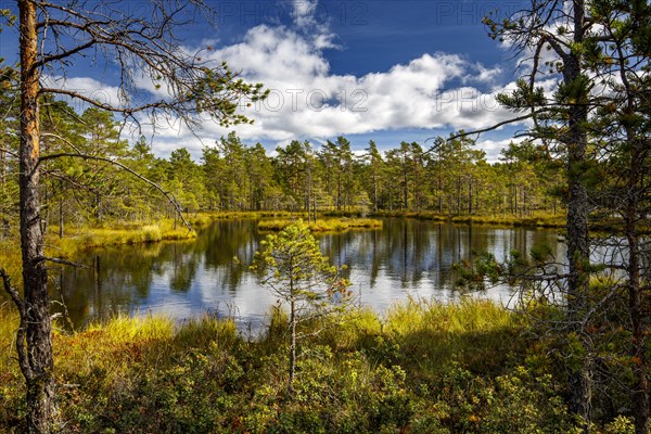 Moor landscape with lake and cloudy sky