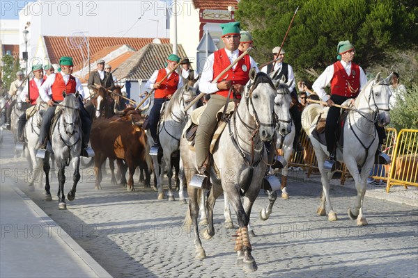 Parade of Horsemen and bulls