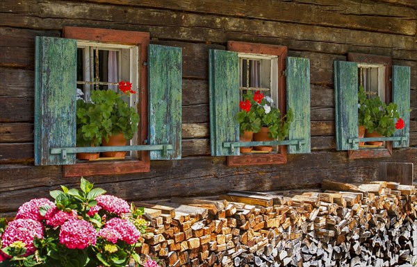 Old farmhouse with flower windows with geraniums