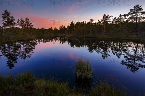 Moor landscape with lake in afterglow