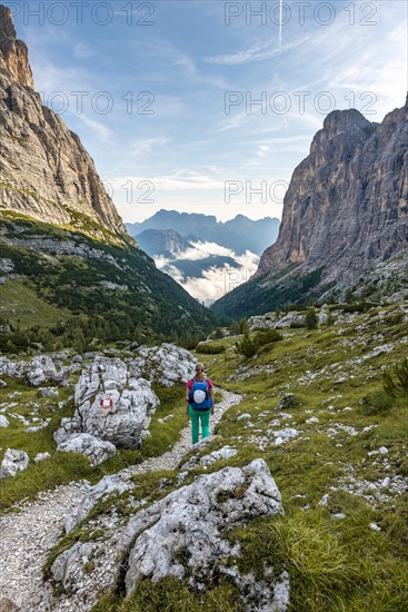 Young hiker on a hiking trail