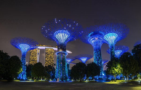 Supertrees at night