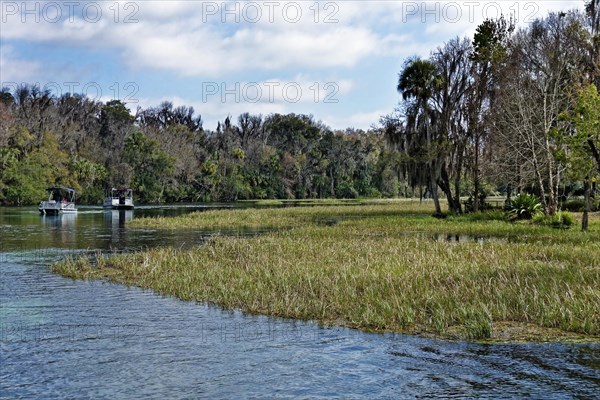 River landscape