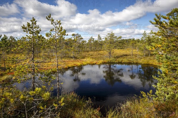 Moor landscape with lake and cloudy sky