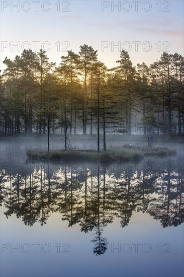 Moor landscape with lake at daybreak