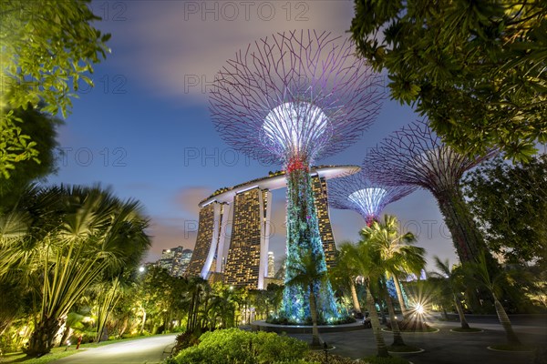 Supertrees at dusk