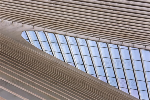 Roof detail in Liege station