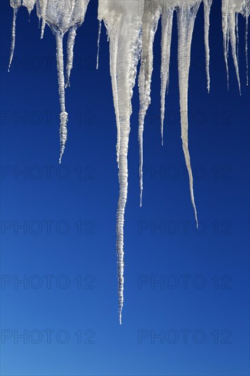 Icicle