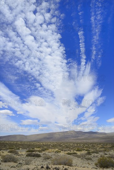 Landscape with cloud atmosphere