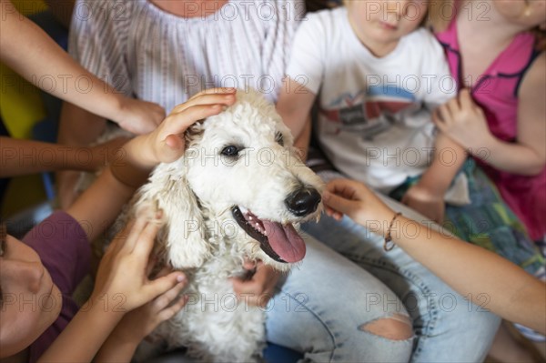 Children stroking dog