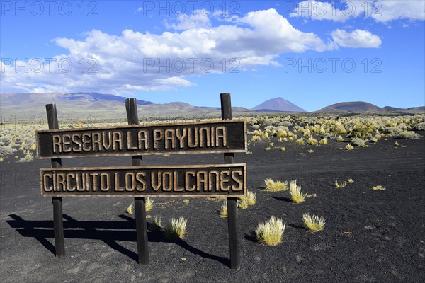 Shield Cirquito los Vulcanes