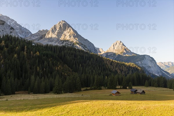 Alpine huts in a meadow