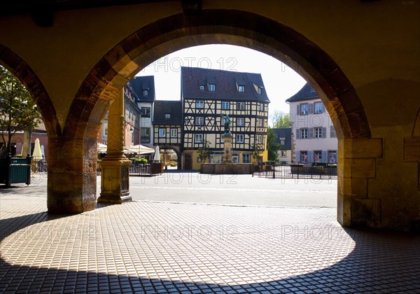 Half-timbered houses