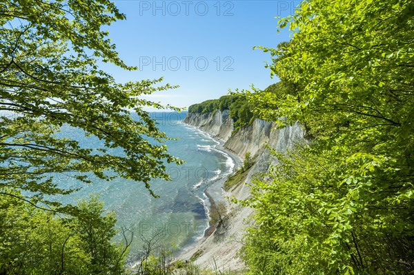 View from the high shore to the Baltic Sea