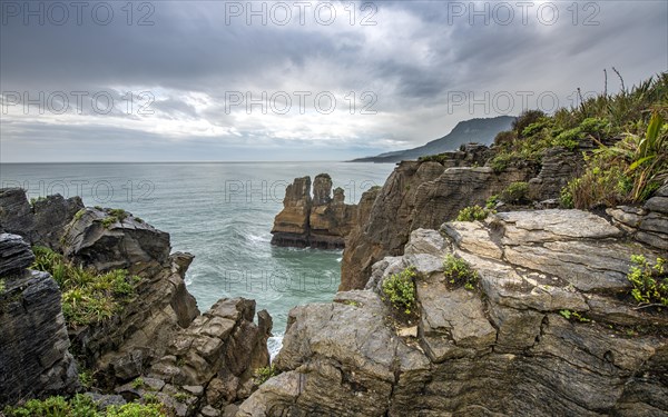 Coastal landscape of sandstone rocks