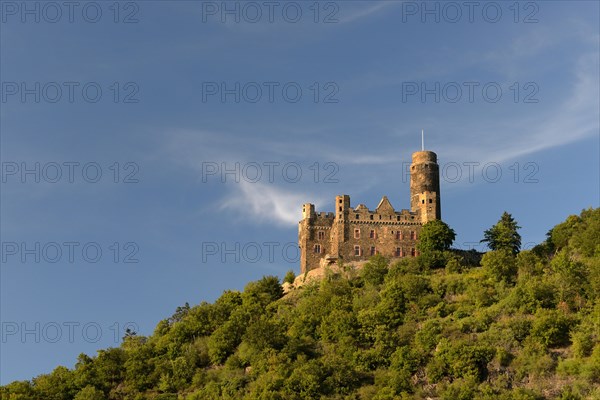 Burg Maus