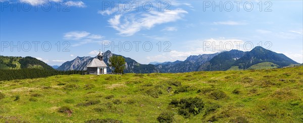 Alpine landscape