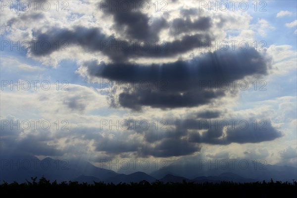 Vineyards with cloud atmosphere over the Andes main ridge