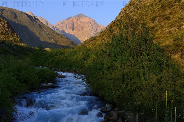 Morning sun at the Rio Tupungato