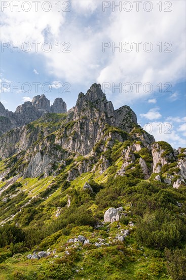 Rugged peaks