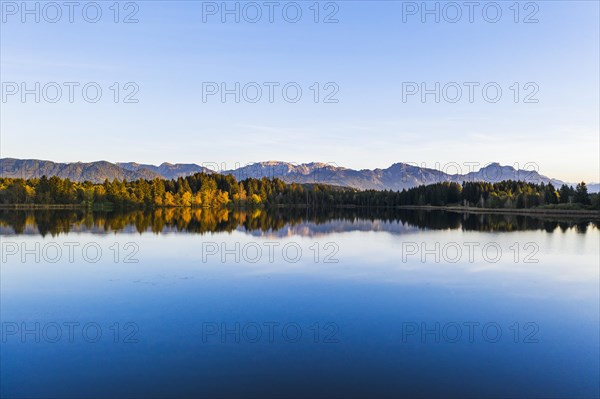 Schmutterweiher in the evening light