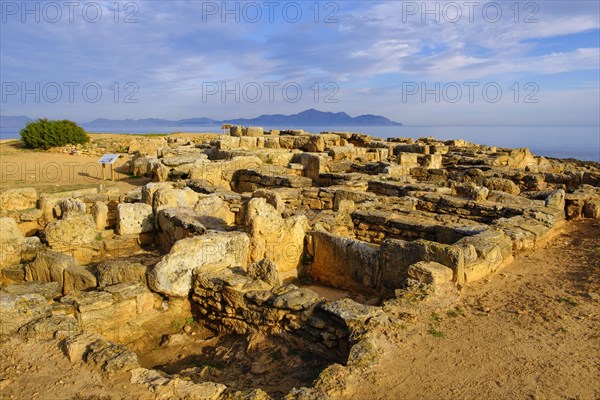 Necropolis of Son Real