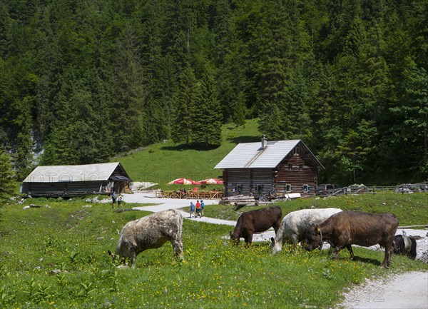 Dachstein massif