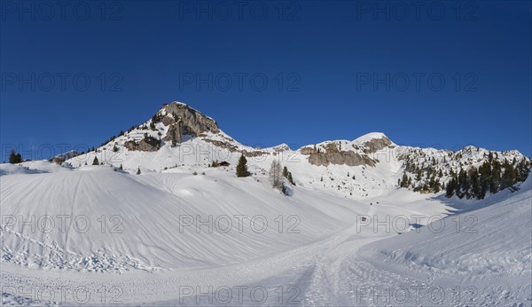 Gschoellkopf