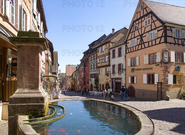 Fountain with goldfish