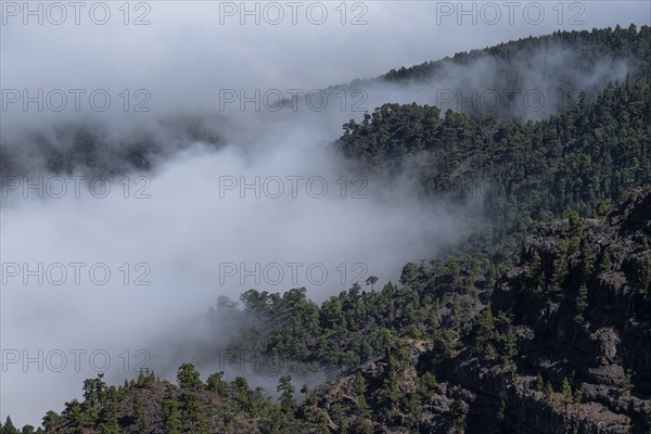 View of the Caldera de Taburiente from Roque de los Muchachos