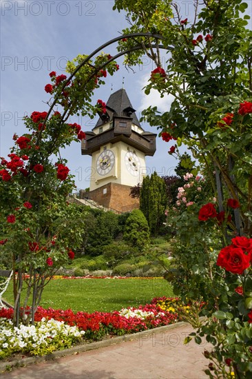 Rose garden on the Schlossberg with clock tower