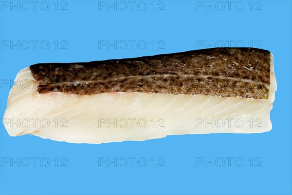 A fillet of winter cod (Skrei)