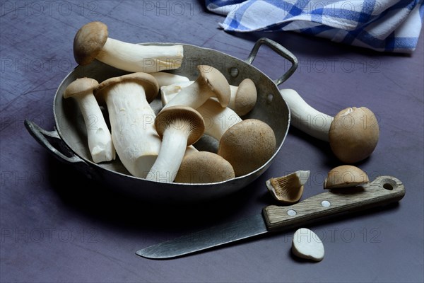 Seitlings in bowl and knife