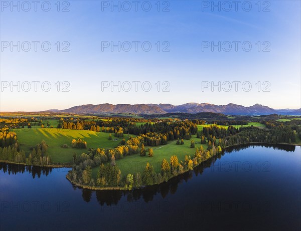 Schmutterweiher in the evening light