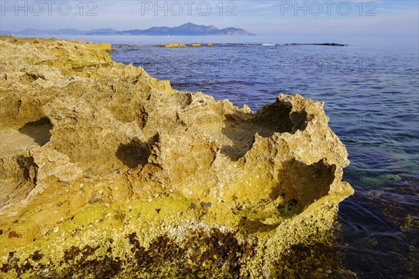 Sharp-edged eroded limestone cliffs on the coast near Can Picafort