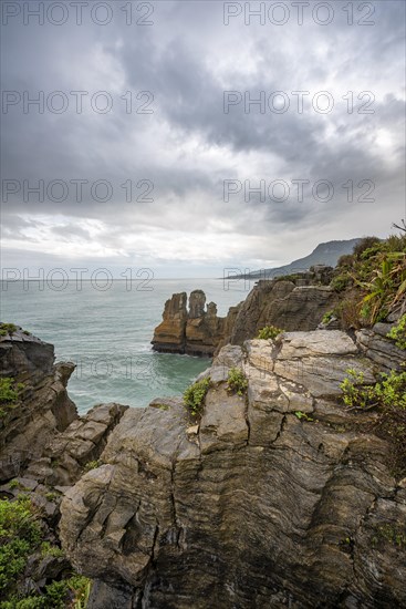 Coastal landscape of sandstone rocks