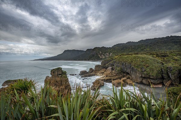 Coastal landscape of sandstone rocks