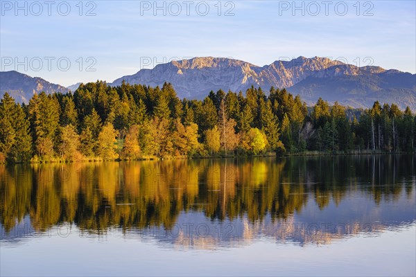 Schmutterweiher in the evening light