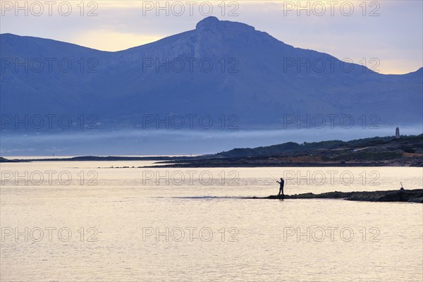 Coast with eagle in the morning light