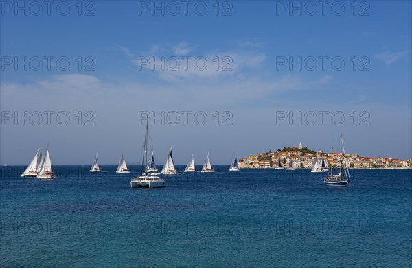 Sailboats