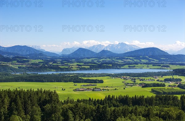 Wallersee