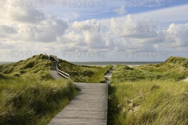 Wooden boardwalk in the dune area near Norddorf